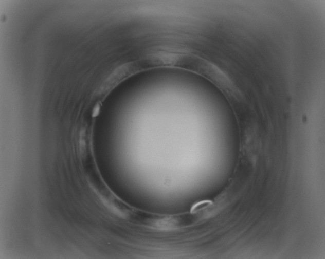 X0000086280122200704051345