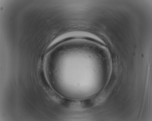 X0000086280123200704051345