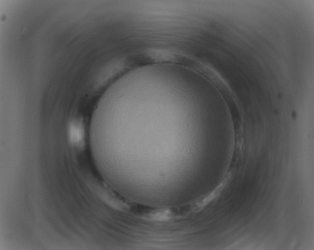 X0000086280124200704051345