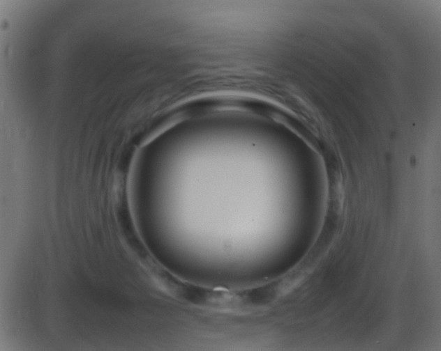 X0000086280125200704051345