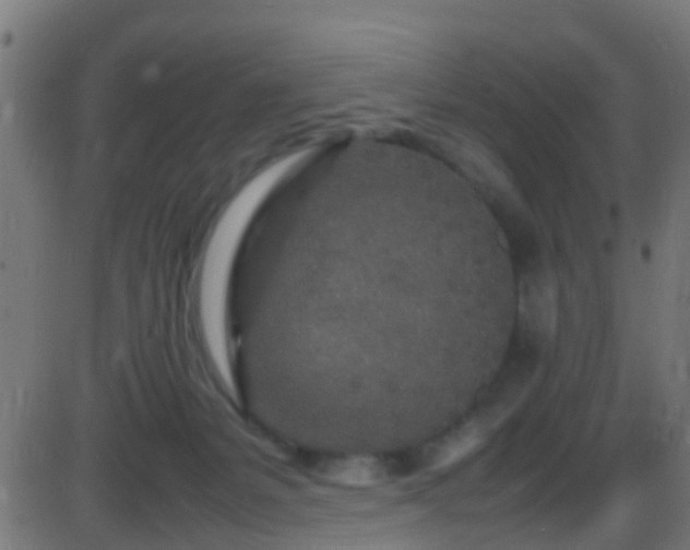 X0000086280127200704051345