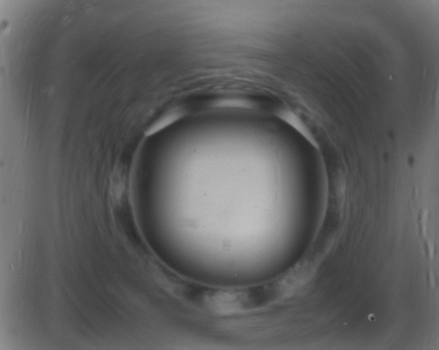 X0000086280129200704051345