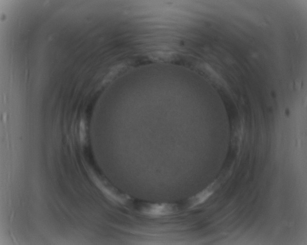 X0000086280130200704051345