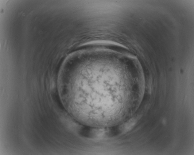 X0000086280131200704051345