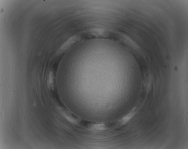 X0000086280132200704051345