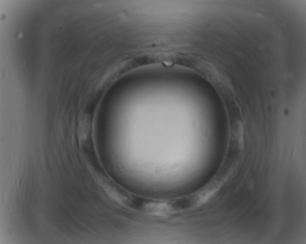 X0000086280133200704051345