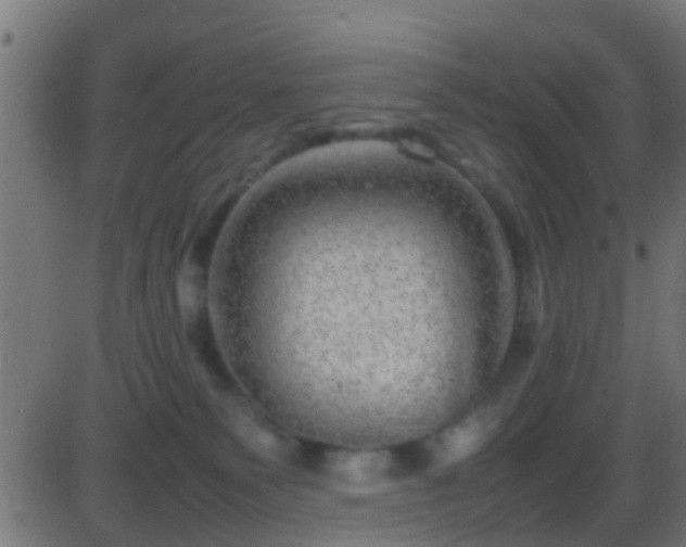 X0000086280135200704051345