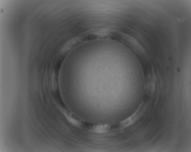 X0000086280136200704051345