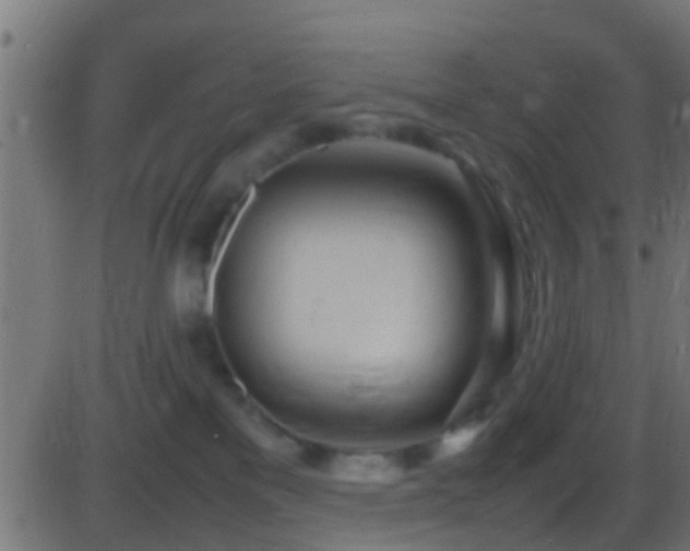 X0000086280137200704051345