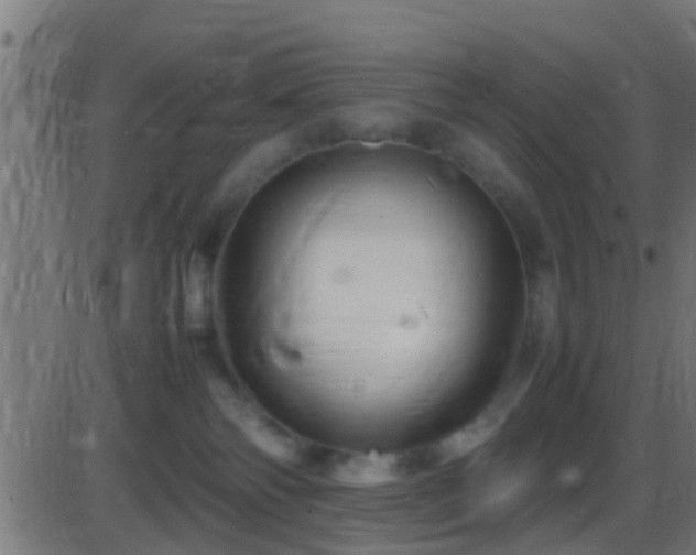 X0000086280138200704051345