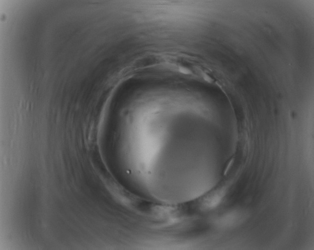 X0000086280139200704051345