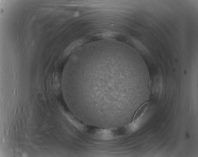 X0000086280140200704051345