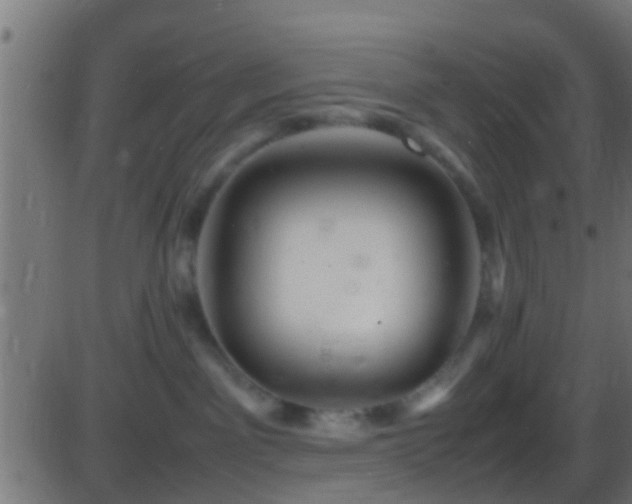 X0000086280141200704051344