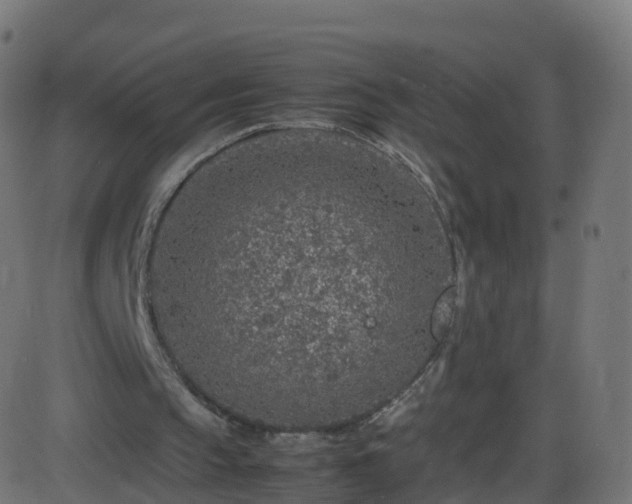 X0000086280145200704051344