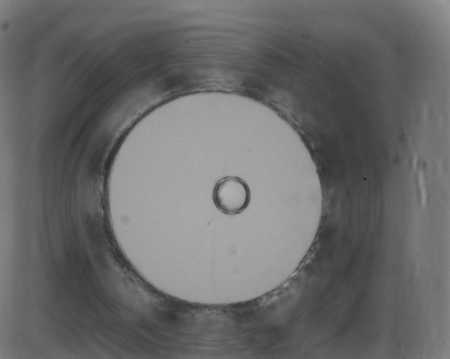 X0000086280146200704051344