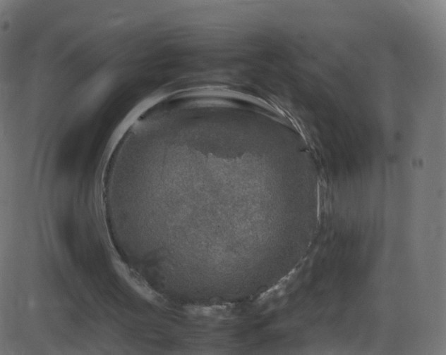 X0000086280147200704051344