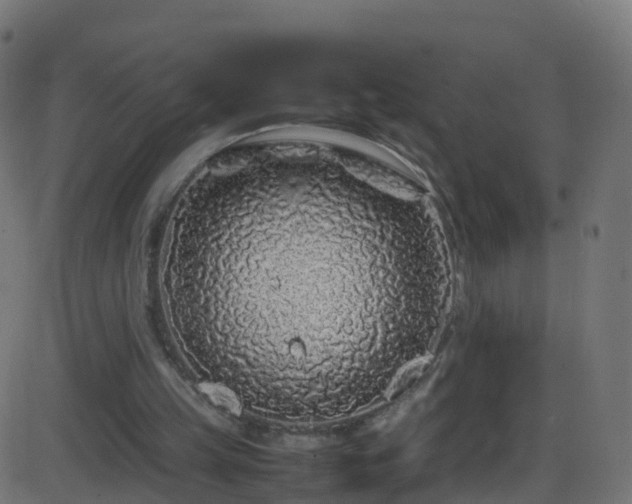 X0000086280149200704051344