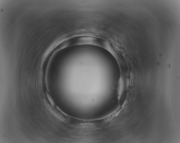 X0000086280150200704051344