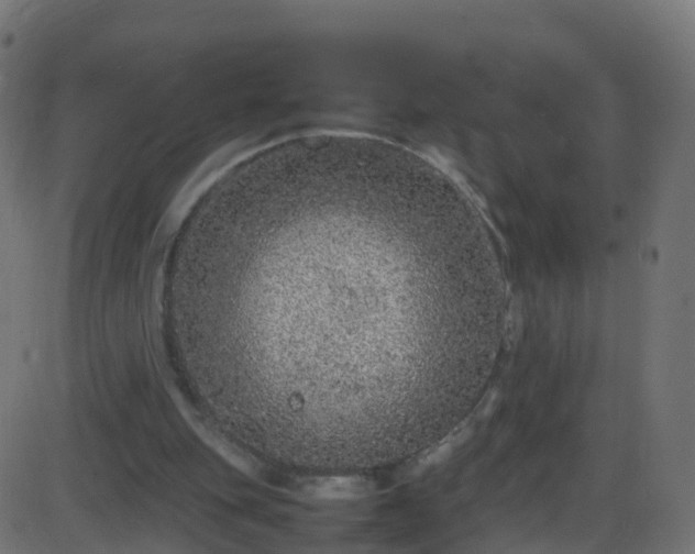 X0000086280151200704051344