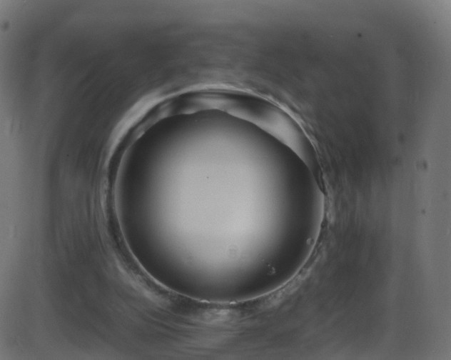 X0000086280152200704051344