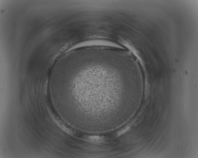 X0000086280153200704051344