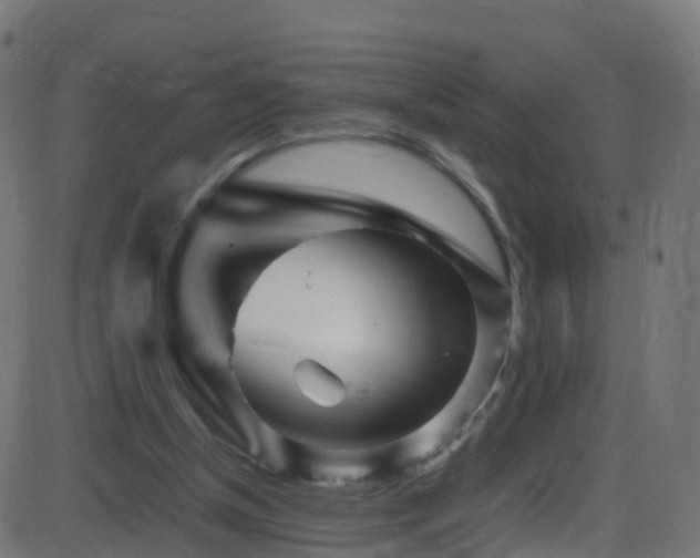 X0000086280154200704051344