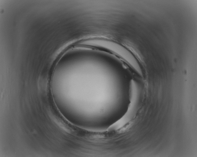 X0000086280156200704051344