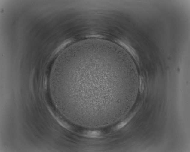 X0000086280157200704051344