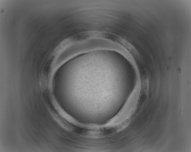 X0000086280158200704051344