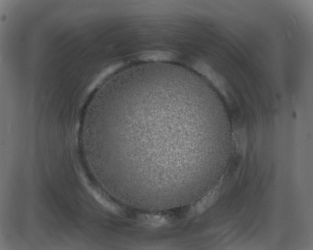 X0000086280159200704051344