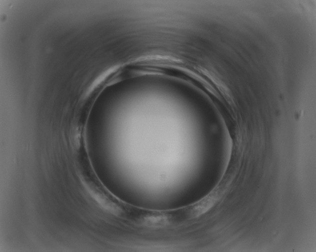 X0000086280160200704051344