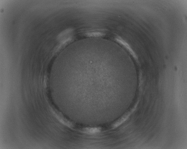 X0000086280161200704051344