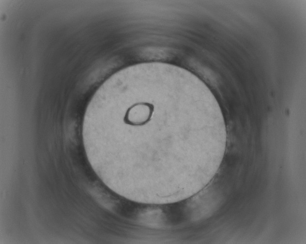 X0000086280162200704051344