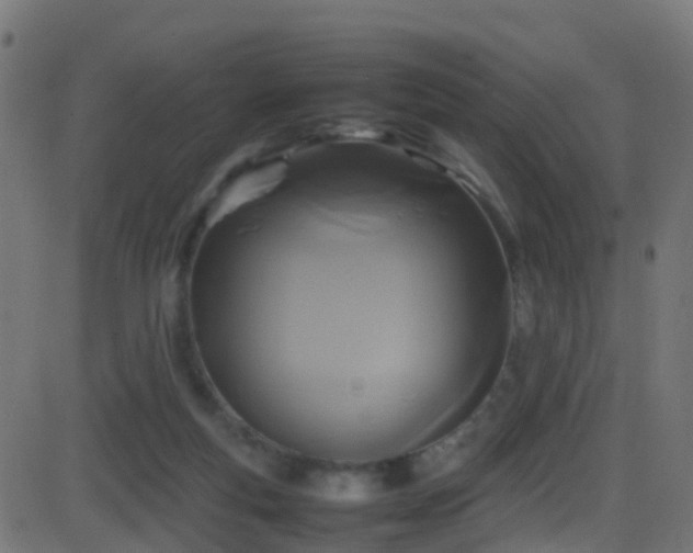 X0000086280163200704051344