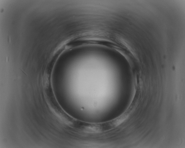 X0000086280164200704051344