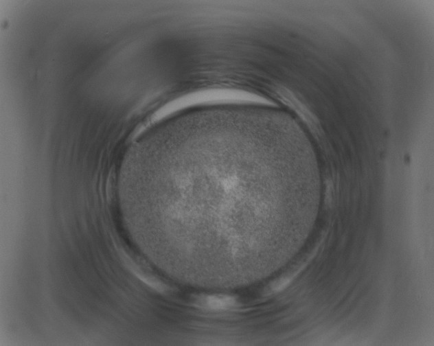 X0000086280165200704051344