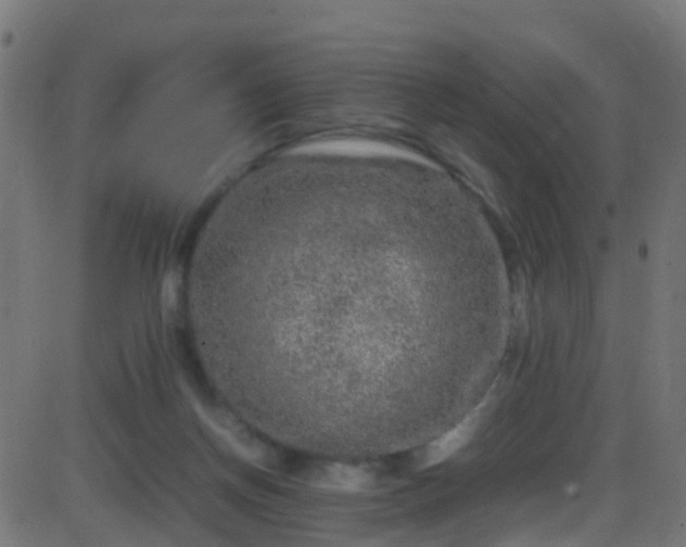 X0000086280166200704051344