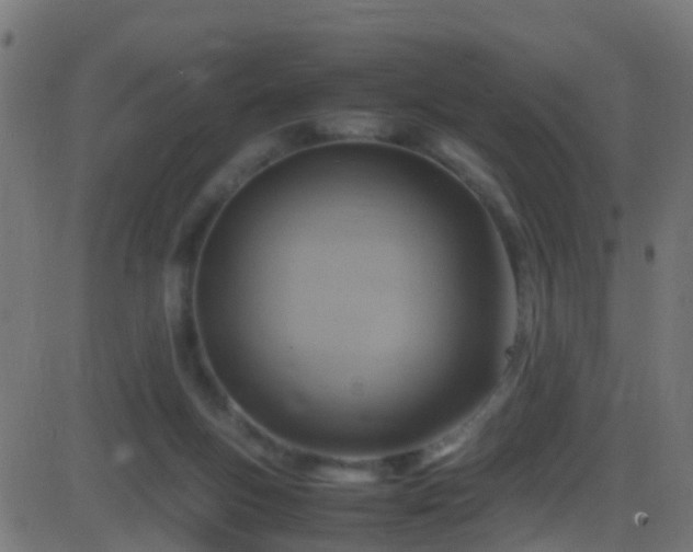 X0000086280167200704051344