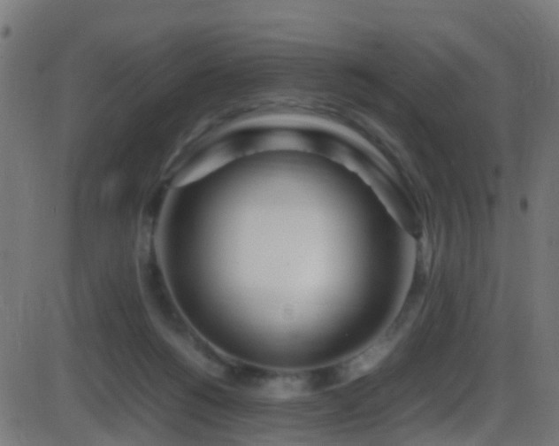 X0000086280168200704051344