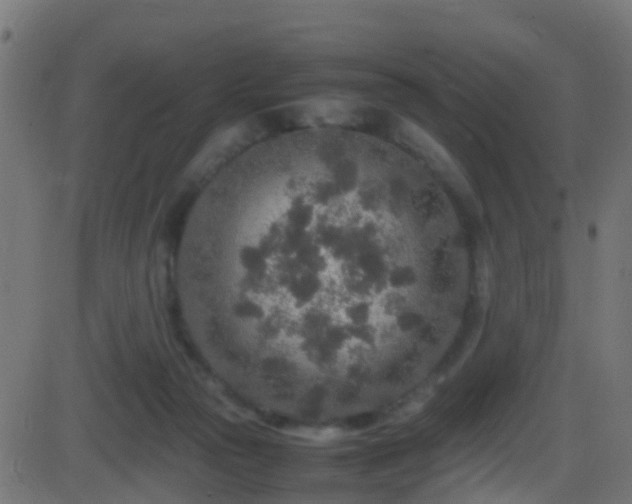 X0000086280169200704051344