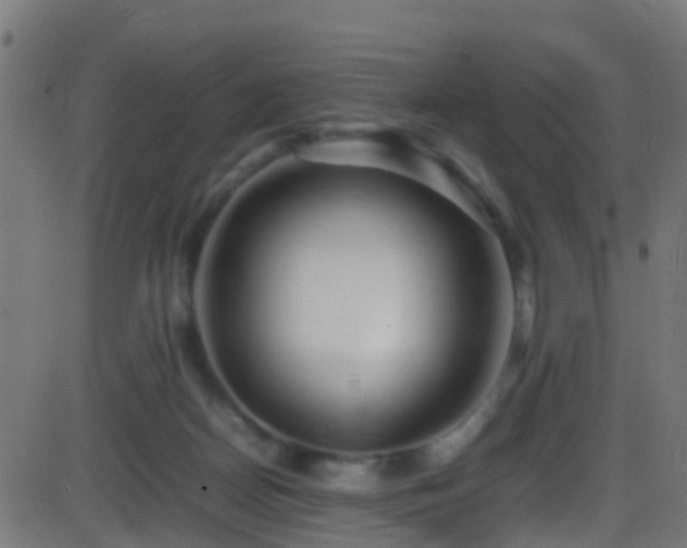 X0000086280170200704051344