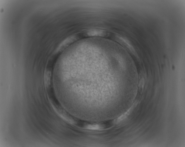 X0000086280171200704051344