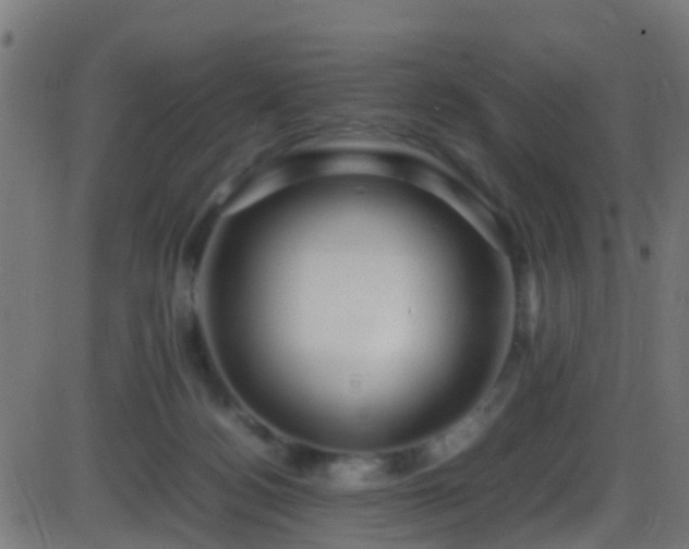 X0000086280172200704051344