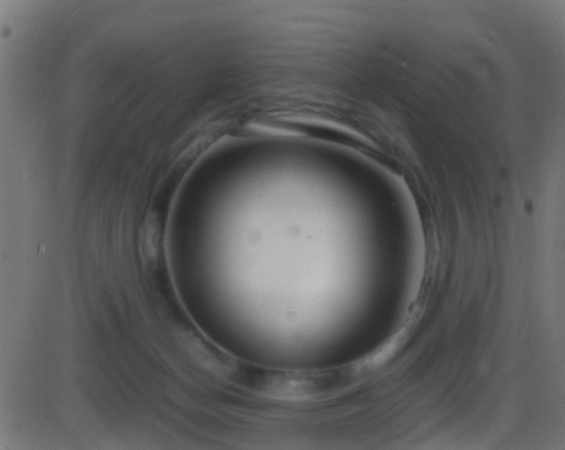 X0000086280174200704051344