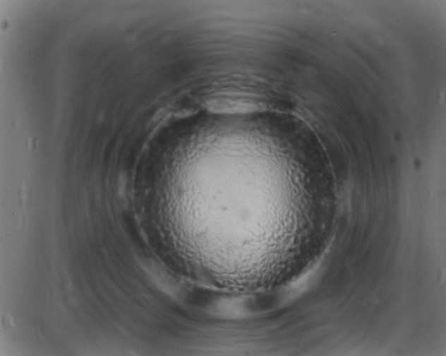 X0000086280178200704051344