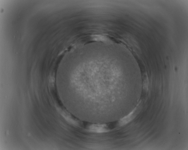 X0000086280179200704051344