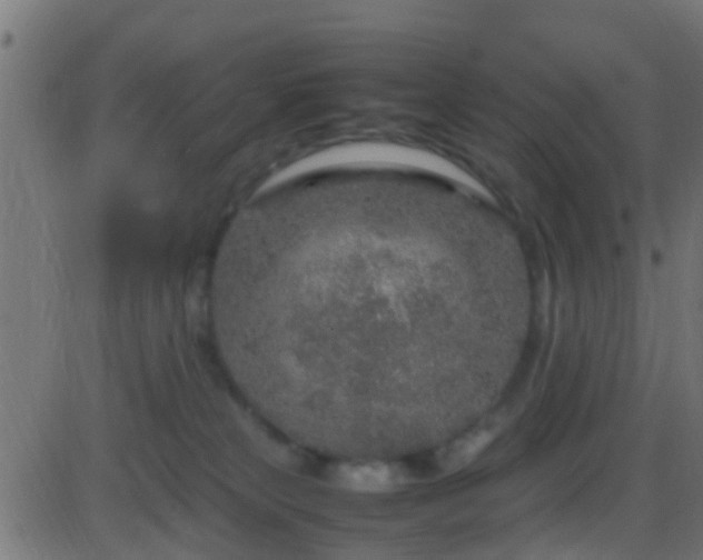 X0000086280181200704051344