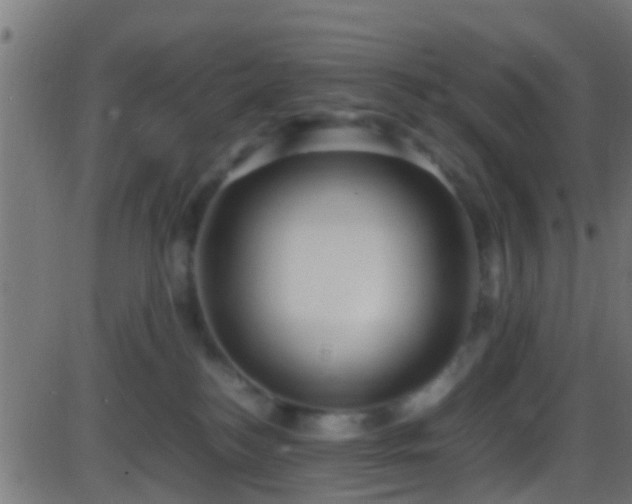 X0000086280184200704051344