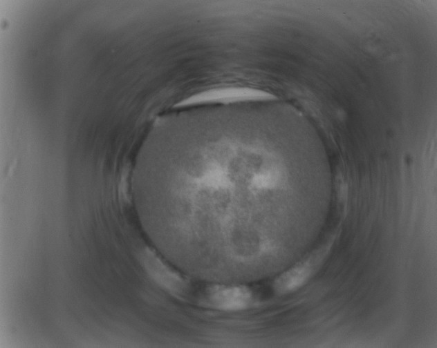 X0000086280185200704051344