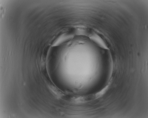 X0000086280186200704051344